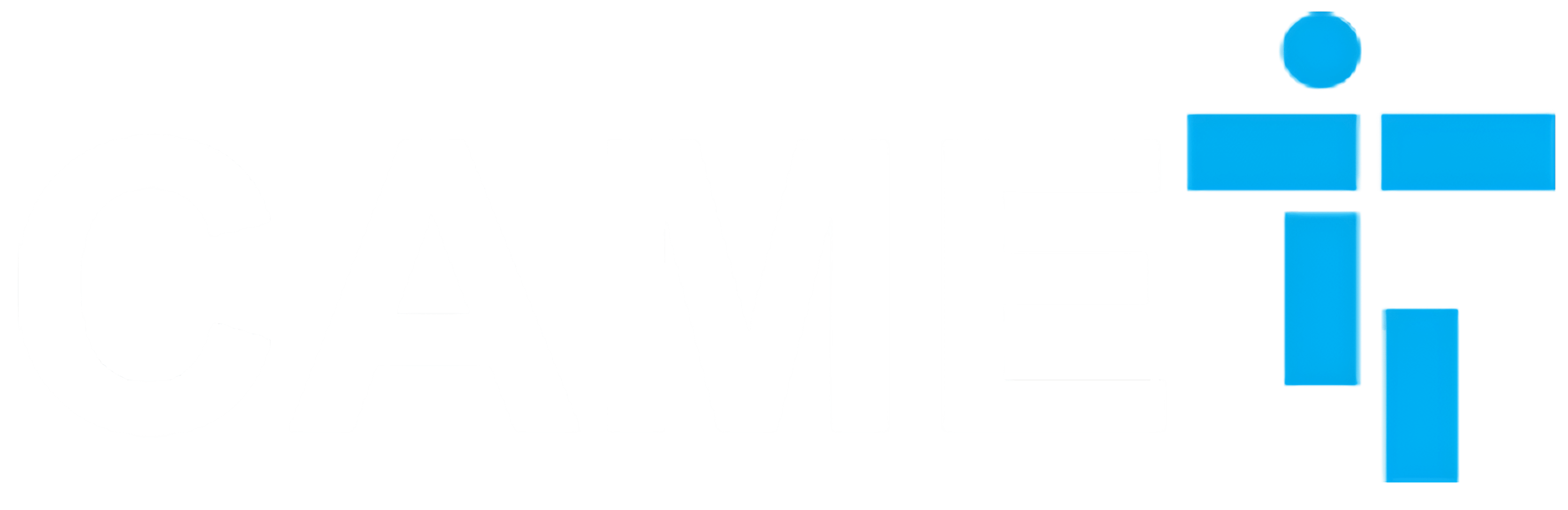irancame